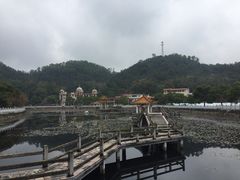 -红山村