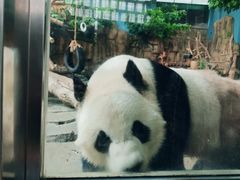 -泉州海丝野生动物世界