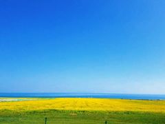 -青海湖国家重点风景名胜区
