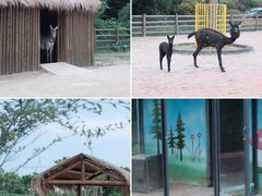 -苏州太湖西山岛开心农场