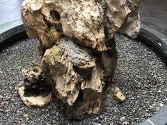 -食膳公园包子铺(烈士公园店)