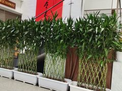 -乐港休闲馆茶艺·简餐·茶室(首都机场T2店)