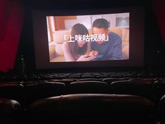 -新影联·华谊兄弟影院(望京店)