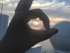 -歌诗达邮轮(宝杨路码头)