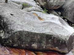 -海南霸王岭国家森林公园