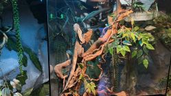 -Zoolung Zoolung动物主题公园(海信广场店)