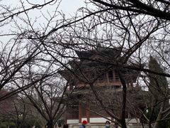 -西安青龙寺遗址景区