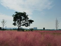 -汉长安城未央宫国家考古遗址公园