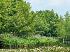-白鹭湾湿地公园