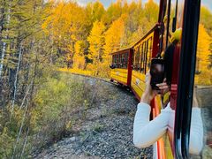 -莫尔道嘎国家森林公园