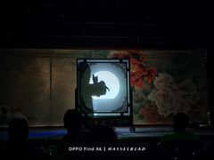 -盖碗儿梨园·变脸吐火·川剧(天府广场店)