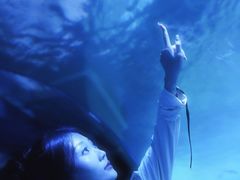 -左海海底世界