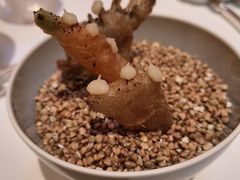 -Sketch(The Lecture Room & Library)