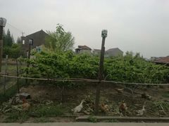 -小六农家乐(崇明西沙湿地店)