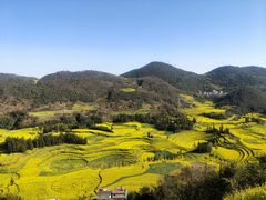 -牛街螺丝田