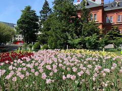 -北海道厅旧本厅舍(旧本庁舎)