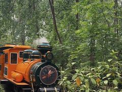 -合肥滨湖国家森林公园