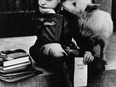 -CoCo都可(江宁托乐嘉店)