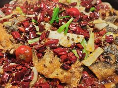 -老板恋上鱼(恒隆广场店)