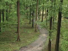 -黄海国家森林公园