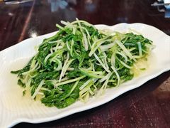 鸡毛菜-集贤门·徽菜(福田店)