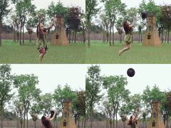 -上海海湾国家森林公园