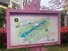 -高东镇樱花园
