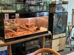 -大视光学•LINDBERG林德伯格•全球手工眼镜集合店(王府井店)