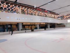 -TheRink大零溜冰场(IFS国金中心店)