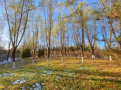 -大兴滨河森林公园