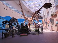 -陕西自然博物馆