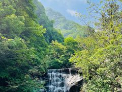 -西安祥峪森林公园