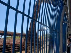 -鄂尔多斯野生动物园