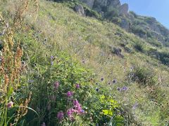 -白草畔自然风景区