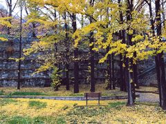 -阳台山自然风景区