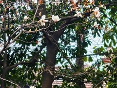 -思南公馆商业街