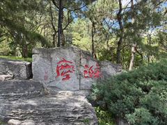 -玲珑塔公园