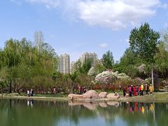 -群力丁香公园