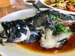 -明记海鲜大排档(巽寮湾店)