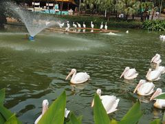 -广州动物园
