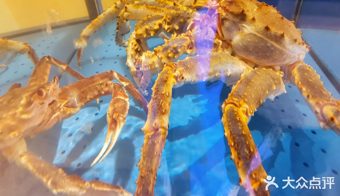 高分定食