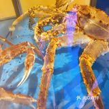 高分定食