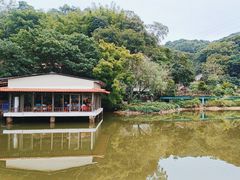 -桃园美食(水库路店)