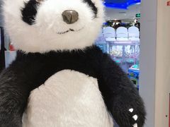-反斗乐园π·电玩·高空拓展·蹦床(龙华天虹店)