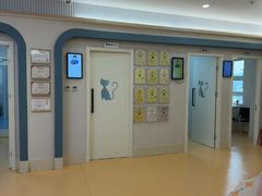 -全心全意动物诊疗中心医院(北苑店)