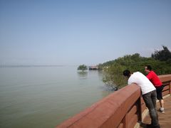 -宝安西湾红树林湿地公园