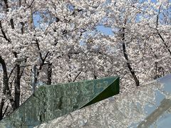 -龙美术馆(西岸馆)