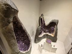 -墨尔本博物馆(Melbourne Museum)