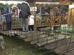 -上海大自然野生昆虫馆(东方明珠·爬宠昆虫探索中心)