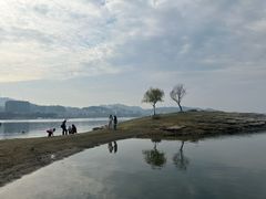 -老淳安—伴山伴湖(千岛湖开元度假村店)